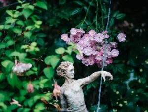 GARDEN | BayBuzz