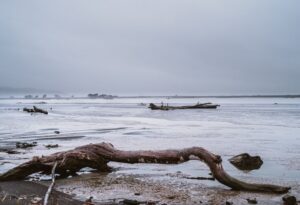 beach | BayBuzz