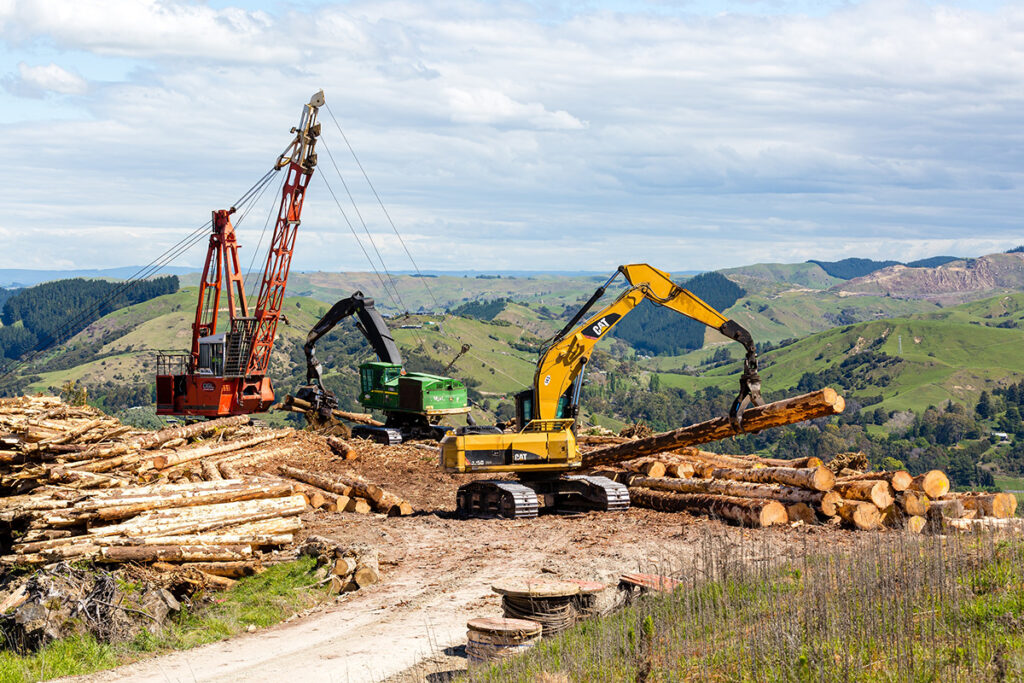 Harvesting Mill Block Photo: Photo: Simon Cartwright