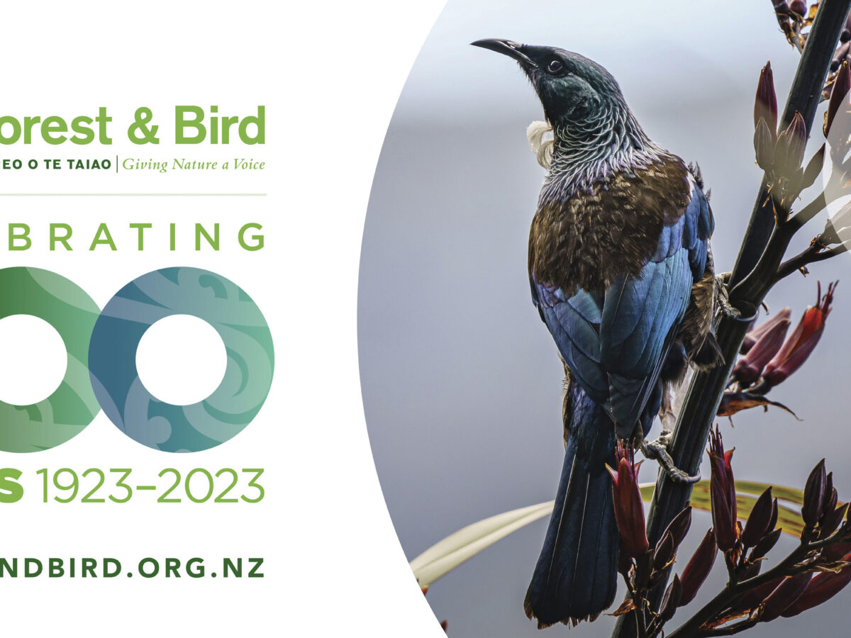 forest and bird 100 years