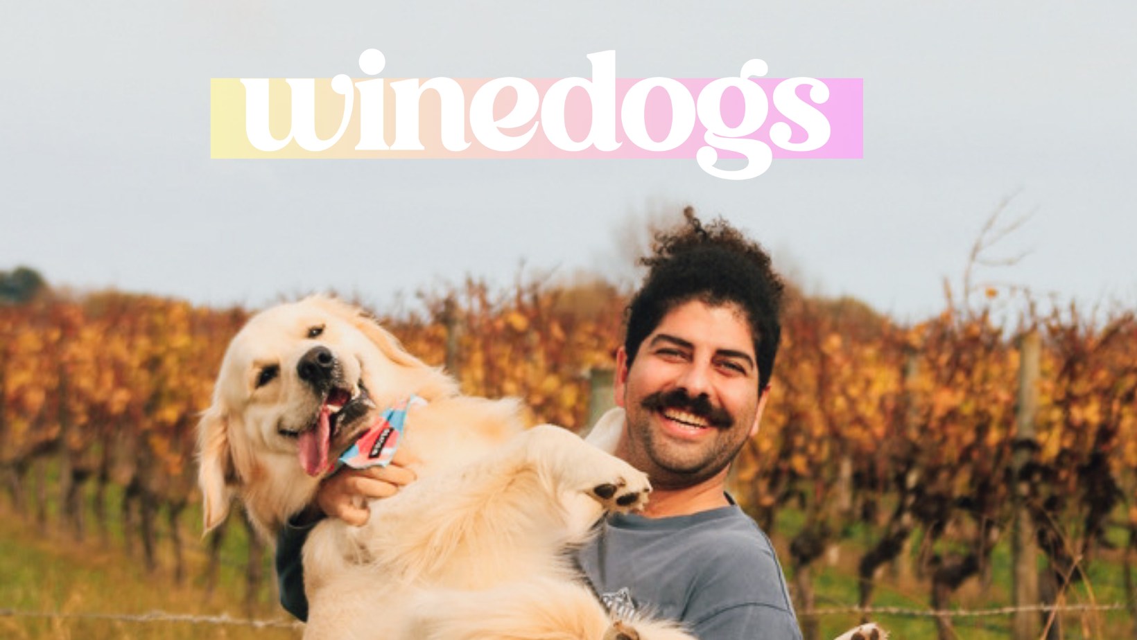 winedogs