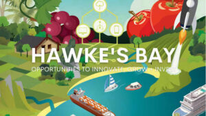 images | BayBuzz